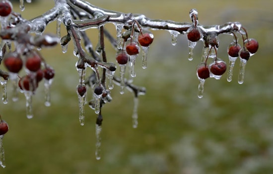 Philadelphia Grapples with Icy Conditions as Winter Weather Advisory Extends This Morning