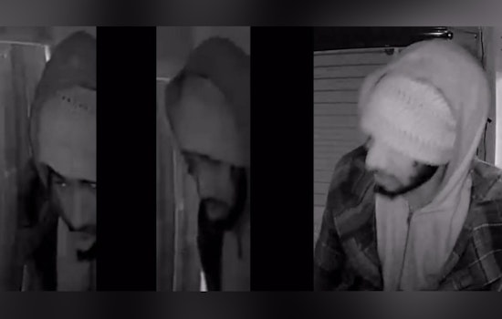 Philadelphia Police Seek Public's Help to Identify Suspect in Christmas Village Shop Break-In
