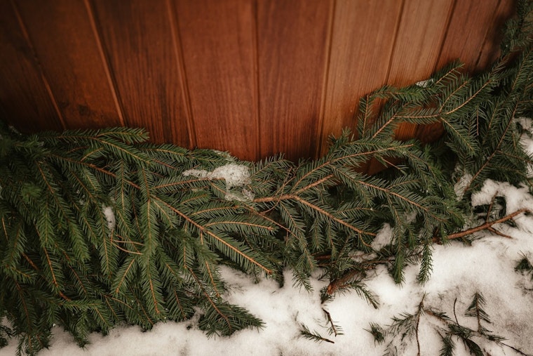 Phoenix Fire Officials Urge Prompt Disposal of Christmas Trees to Prevent Fires