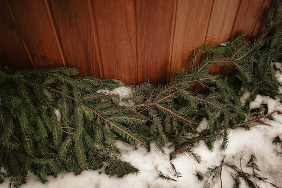 Phoenix Fire Officials Urge Prompt Disposal of Christmas Trees to Prevent Fires