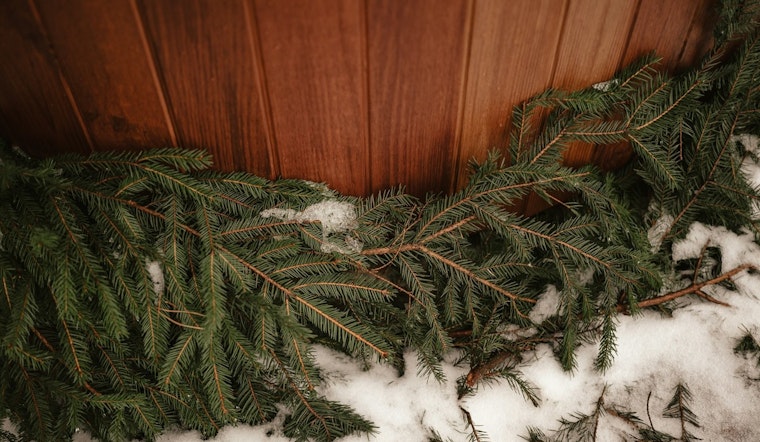 Phoenix Fire Officials Urge Prompt Disposal of Christmas Trees to Prevent Fires