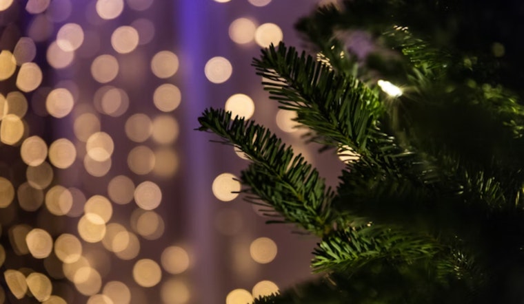 Phoenix Local Tradition Flourishes as Munoz Family Christmas Tree Lot Marks 40 Years of Community Cheer