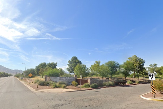 Phoenix Offers Eco-Friendly Christmas Tree Recycling Post-Holidays at Local Parks