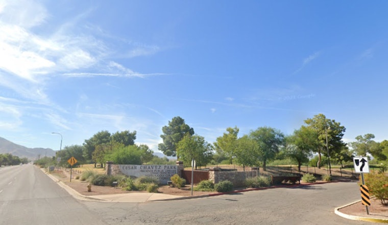 Phoenix Offers Eco-Friendly Christmas Tree Recycling Post-Holidays at Local Parks