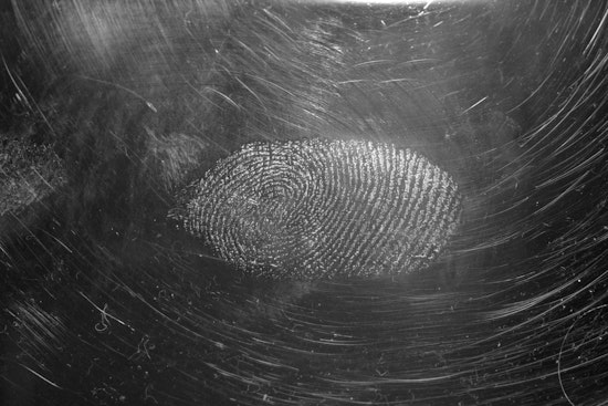 Pinellas County Sheriff's Office Employs Gold in Advanced Fingerprint Technology to Enhance Forensic Investigations