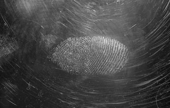 Pinellas County Sheriff's Office Employs Gold in Advanced Fingerprint Technology to Enhance Forensic Investigations