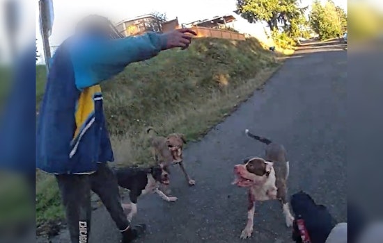 Pitbulls' Owner Suspected of Violating Washington State's Dangerous Dogs Law After Fatal Attack in Bremerton