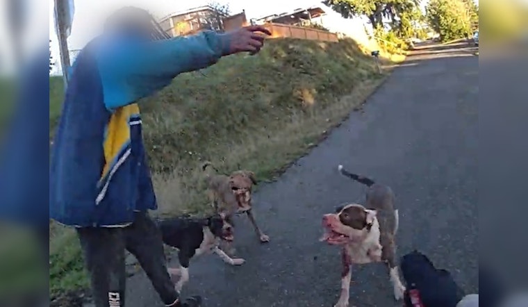 Pitbulls' Owner Suspected of Violating Washington State's Dangerous Dogs Law After Fatal Attack in Bremerton