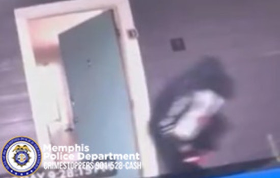 PlayStation Theft in Memphis Apartment Break-In Prompts Police Appeal for Witnesses