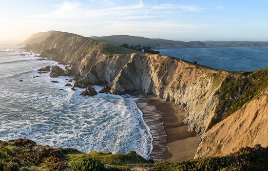 Point Reyes Visitors Caught On Livestream Hurling Rocks At Resting Seal