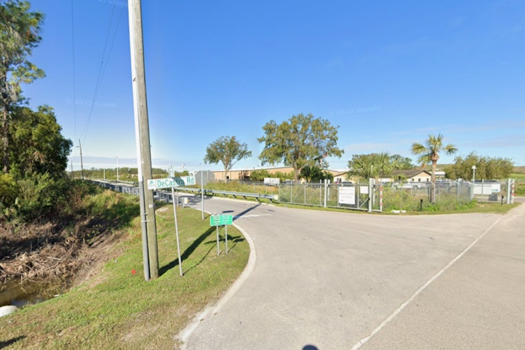 Polk County's Pet Fest 2025 in Winter Haven Offers Free Adoptions and Festive Fun on December 13
