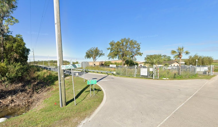 Polk County's Pet Fest 2025 in Winter Haven Offers Free Adoptions and Festive Fun on December 13