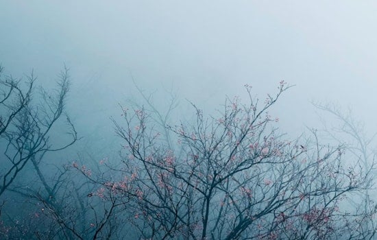 Portland and Vancouver Metro Areas Under Dense Fog Advisory as Visibility Concerns for Morning Commuters