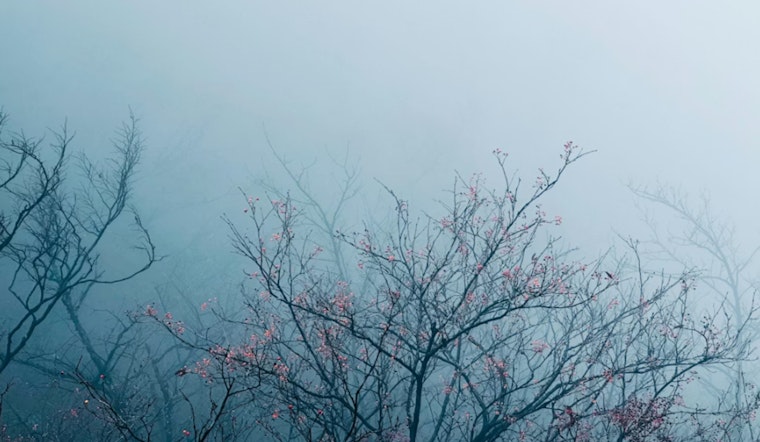 Portland and Vancouver Metro Areas Under Dense Fog Advisory as Visibility Concerns for Morning Commuters