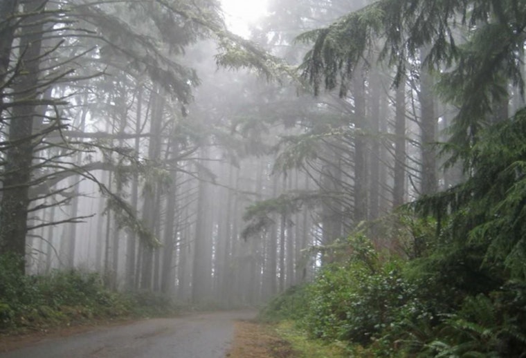 Portland Braces for a Soggy Week: Consistent Rainfall, Overcast Skies Ahead as Forecast Predicts a Wet Start to December