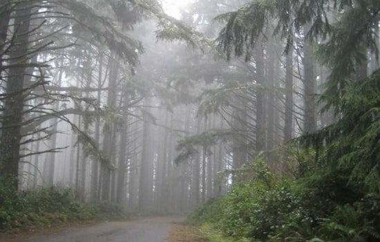 Portland Braces for a Soggy Week: Consistent Rainfall, Overcast Skies Ahead as Forecast Predicts a Wet Start to December