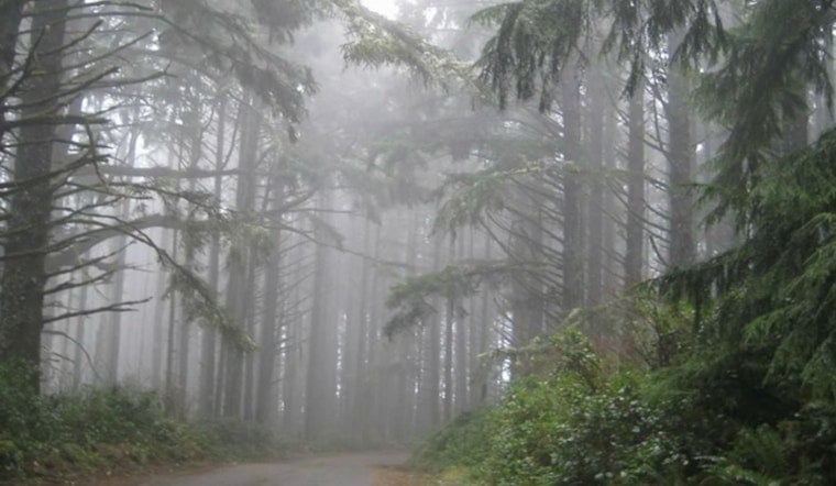 Portland Braces for a Soggy Week: Consistent Rainfall, Overcast Skies Ahead as Forecast Predicts a Wet Start to December