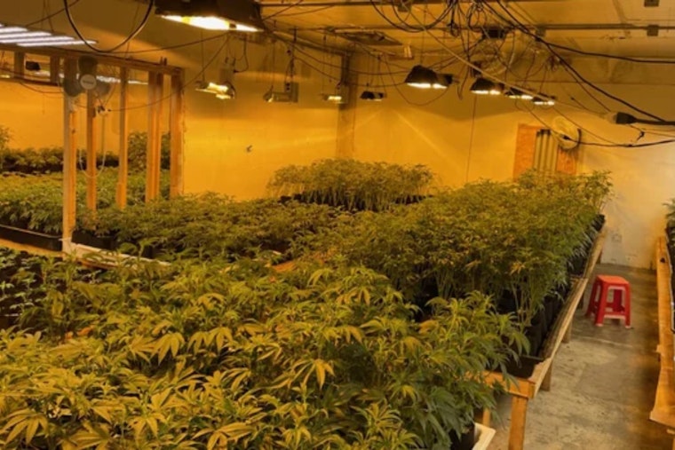 Pre-Dawn Blaze Guts Oakland Weed Grow Near 44th Avenue