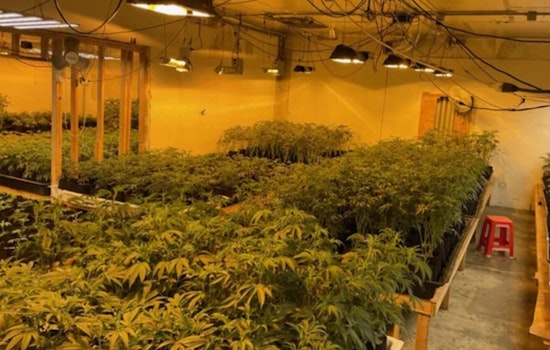 Pre-Dawn Blaze Guts Oakland Weed Grow Near 44th Avenue