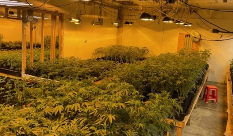 Pre-Dawn Blaze Guts Oakland Weed Grow Near 44th Avenue