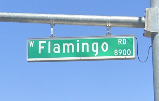 Pre-Dawn Flamingo Road Crash Kills Las Vegas Man In Wheelchair