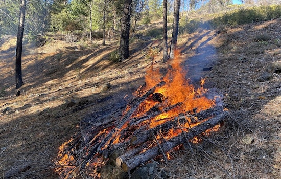 Prescribed Burn Activities on Fort Apache Reservation Continue Safely with Over 18K Acres Treated