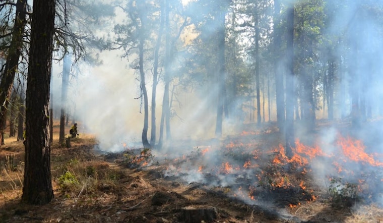 Queer Forest Keepers Turn Russian River Fire Fears Into Community Power