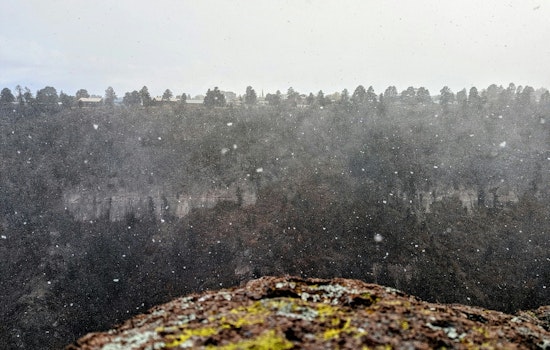 Raleigh Braces for a Brief Snow Flurry as an Arctic Chill Is Expected Early Next Week