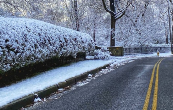 Raleigh Residents Advised to Leave Bins Out Amid Delays in Waste Collection Services Due to Winter Weather