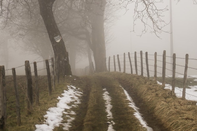 Raleigh Wakes Up to a Freezing Fog Advisory as the NWS Warns of Low Visibility and Incoming Snow