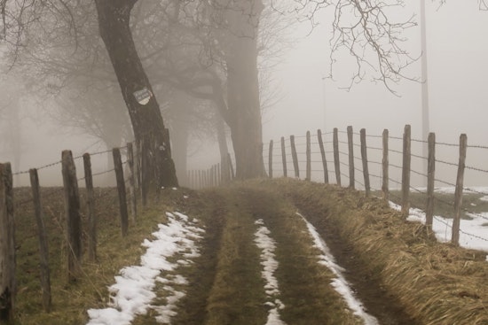 Raleigh Wakes Up to a Freezing Fog Advisory as the NWS Warns of Low Visibility and Incoming Snow