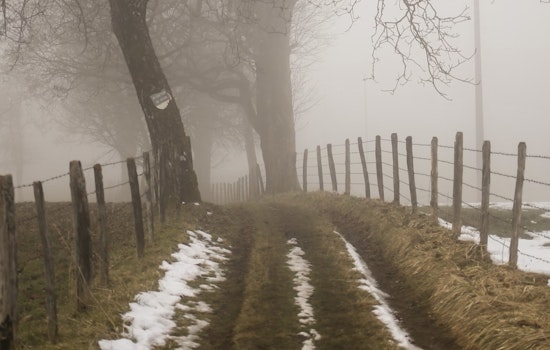 Raleigh Wakes Up to a Freezing Fog Advisory as the NWS Warns of Low Visibility and Incoming Snow