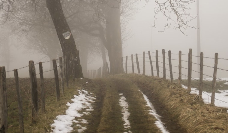 Raleigh Wakes Up to a Freezing Fog Advisory as the NWS Warns of Low Visibility and Incoming Snow