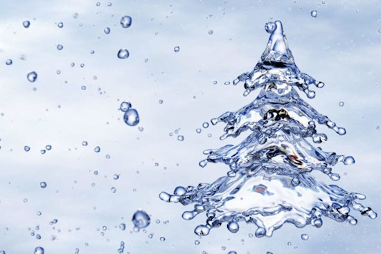 Raleigh Water Advises Residents on Keeping Holiday Trees Hydrated for Lasting Freshness