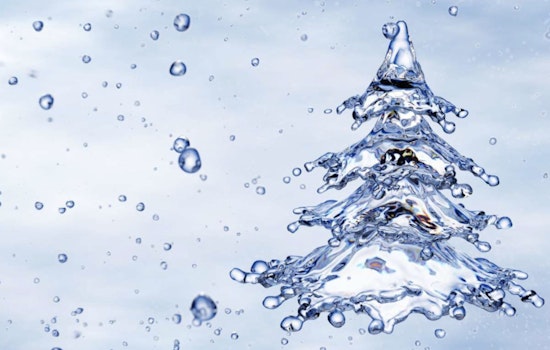 Raleigh Water Advises Residents on Keeping Holiday Trees Hydrated for Lasting Freshness