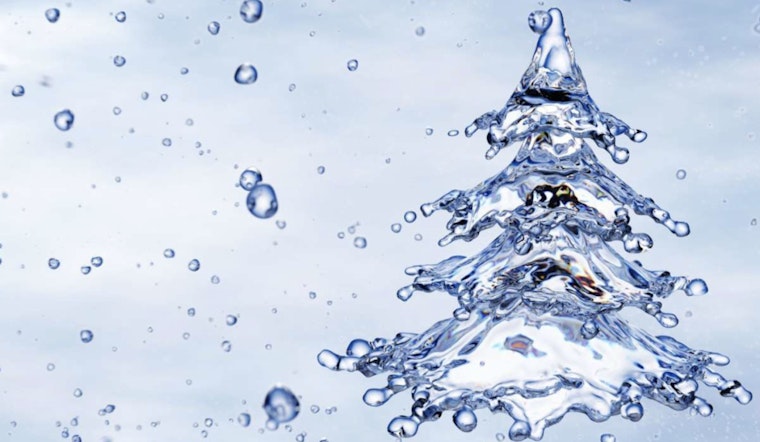 Raleigh Water Advises Residents on Keeping Holiday Trees Hydrated for Lasting Freshness