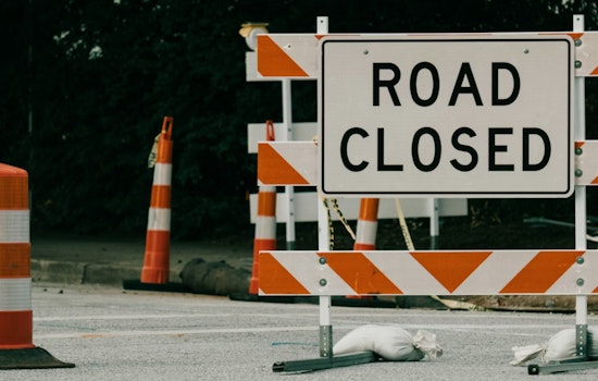 Raleigh's Wade Avenue Temporary Closure on Thursday for Tree Removal, Alternate Routes Advised