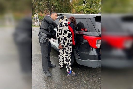 Rancho Cordova Police Wrangle Suspect in Cow Onesie After Theft Spree