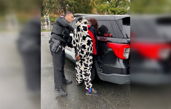 Rancho Cordova Police Wrangle Suspect in Cow Onesie After Theft Spree