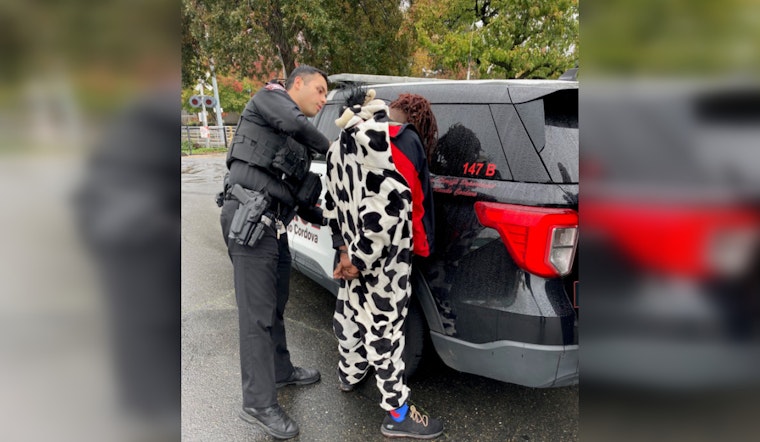 Rancho Cordova Police Wrangle Suspect in Cow Onesie After Theft Spree