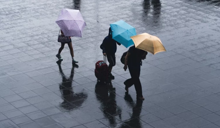 Relentless Rain Triggers Widespread Flooding in Seattle Area, Major Rivers Near Record Levels