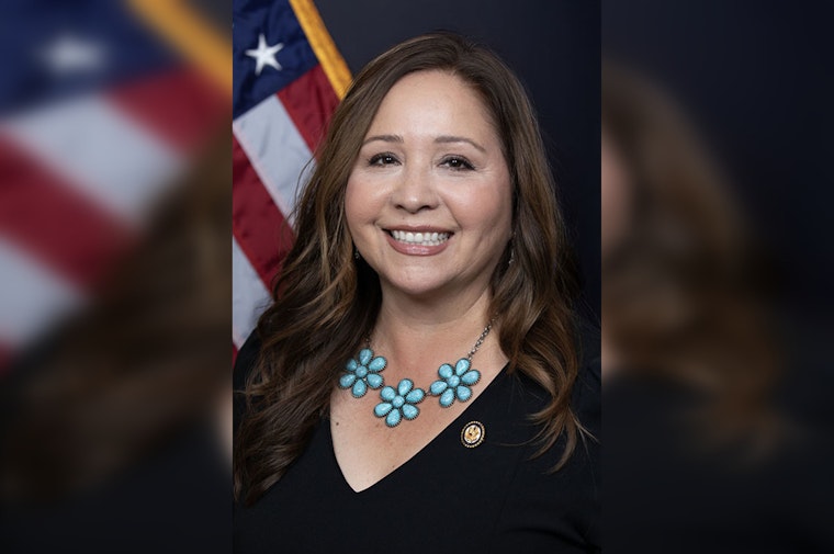 Rep. Adelita Grijalva Claims Pepper-Spraying by ICE Agents in Tucson as Local Leaders Condemn Use of Force