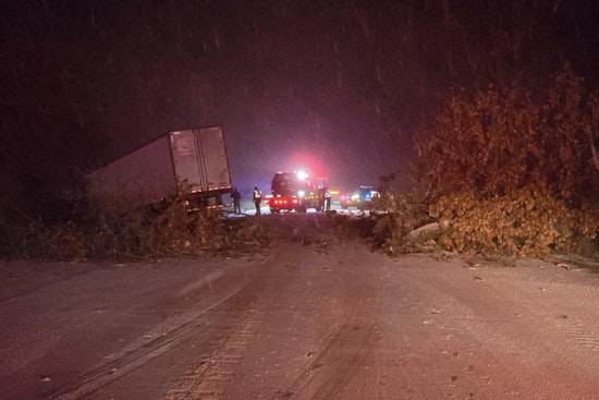 Road Closure on M-37 in Thornapple Township Following Tree Collapse and Semi-Truck Incident