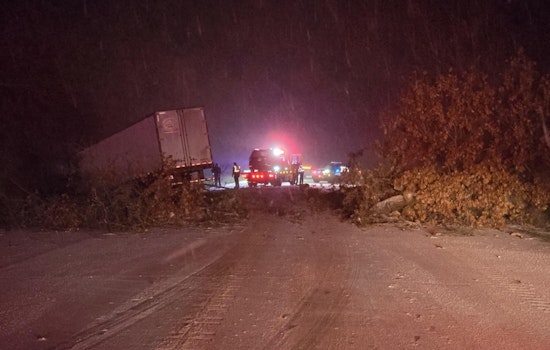 Road Closure on M-37 in Thornapple Township Following Tree Collapse and Semi-Truck Incident