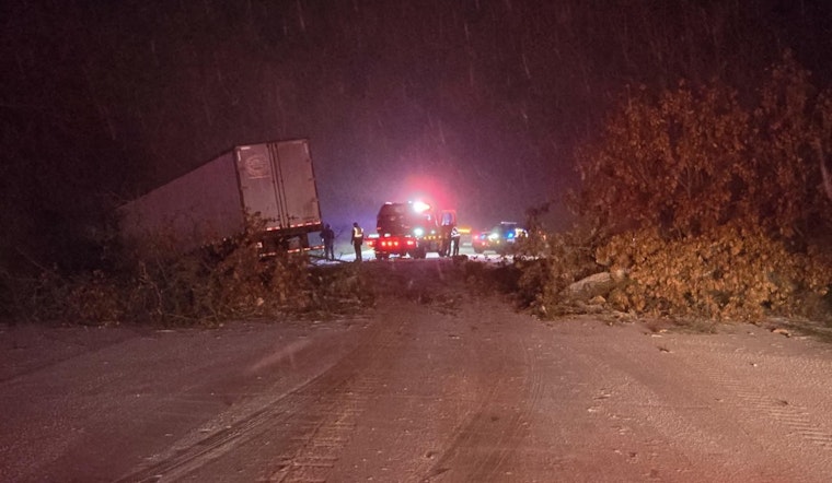 Road Closure on M-37 in Thornapple Township Following Tree Collapse and Semi-Truck Incident