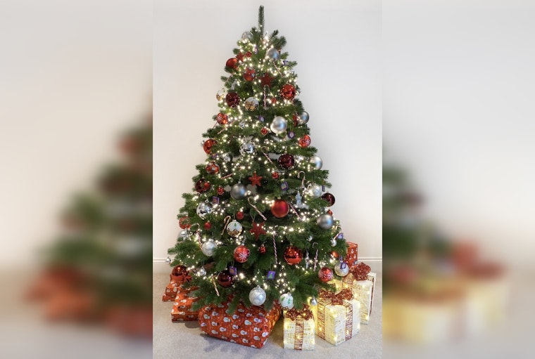 Rockdale County Rings in the New Year with "Bring One for the Chipper" Christmas Tree Recycling Program