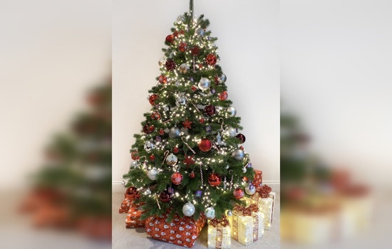Rockdale County Rings in the New Year with "Bring One for the Chipper" Christmas Tree Recycling Program