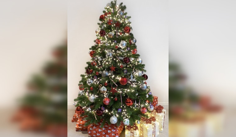 Rockdale County Rings in the New Year with "Bring One for the Chipper" Christmas Tree Recycling Program