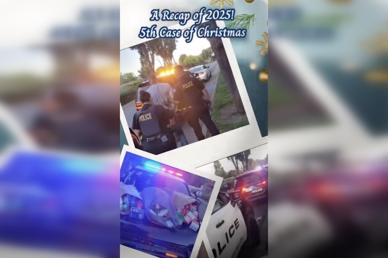 Rocklin COPPS Snags Suspected Target Raider In $20K Theft Blitz