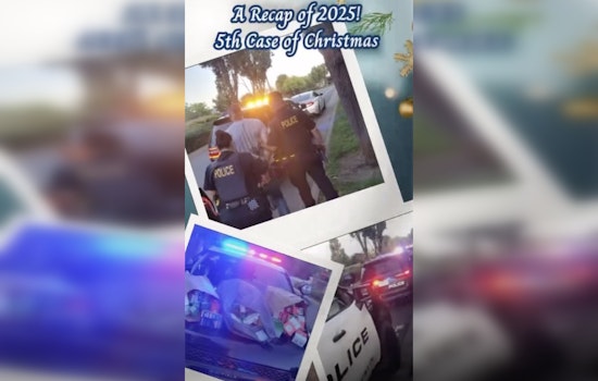 Rocklin COPPS Snags Suspected Target Raider In $20K Theft Blitz